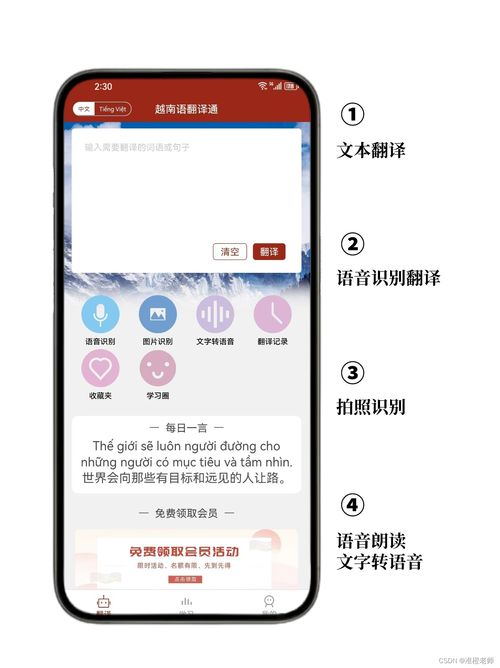 好用的越南语翻译软件 越南语翻译通，精准翻译与学习助手