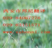 提供各小语种翻译服务 价格、厂家与一站式解决方案